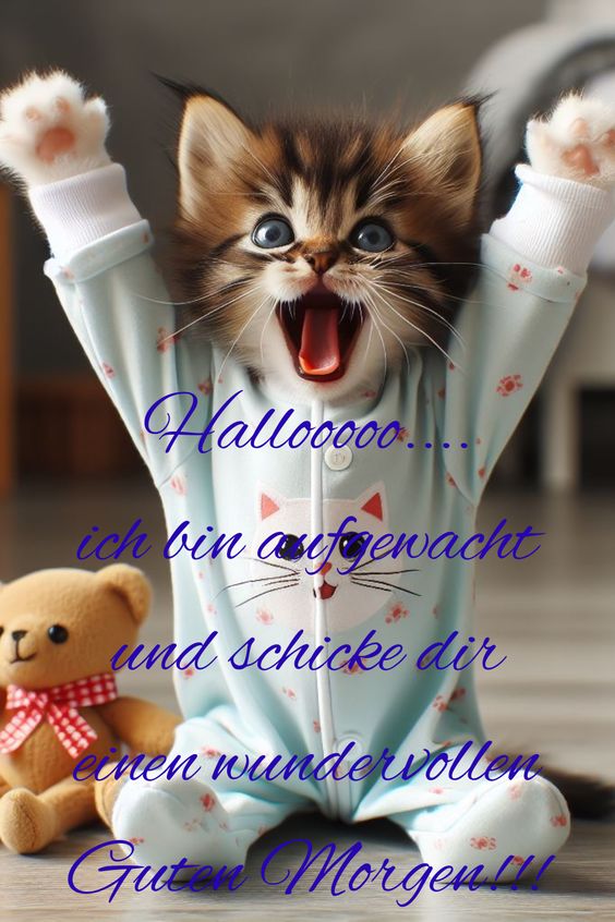 Guten Morgen Wuenschen Sprueche WhatsApp Lustig Kurz Bilder