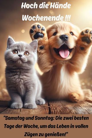 Lustige Sprüche zum Wochenende – Lachen, Entspannen & Genießen