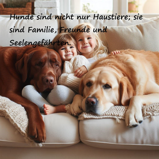Sprüche Hunde, Liebe, Menschen Sprüche über Hunde, die ihre besondere Verbindung zu Menschen und die tiefe Zuneigung, die sie in unseren Herzen wecken, hervorheben
