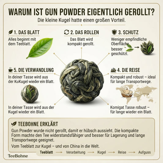 Wissensinfografik von TeeBohne Einbeck über den Ursprung der Kugelform von China Gun Powder: Eine übersichtliche Darstellung vom frischen Teeblatt über den Rollprozess, den Schutz und die historische Transportreise bis hin zum erneuten Entfalten im heißen Aufguss.