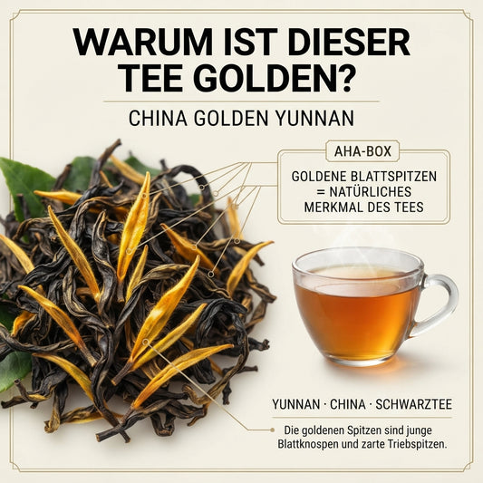 Wissensinfografik von TeeBohne zur Erklärung des Begriffs "Golden" beim China Golden Yunnan Schwarztee. Die Grafik zeigt eine detailreiche Makroaufnahme von dunklen Teeblättern mit leuchtend goldenen Blattspitzen, die als junge Blattknospen identifiziert werden. Ergänzt durch eine Tasse mit bernsteinfarbenem Aufguss und eine erklärende AHA-BOX, verdeutlicht die Infografik, dass die Goldfärbung ein natürliches Merkmal dieses Tees aus Yunnan ist.