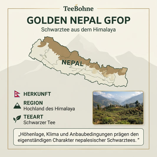 Wissensinfografik von TeeBohne zum Golden Nepal GFOP Schwarztee aus dem Himalaya: Die Grafik zeigt eine stilisierte Karte von Nepal mit hervorgehobenen Hochlandregionen, ergänzt durch Informationen zur Herkunft und Teeart sowie ein realistisches Bild eines nepalesischen Teegartens. Ein ergänzender Text erläutert, wie Höhenlage und Klima den einzigartigen Charakter nepalesischer Schwarztees prägen.