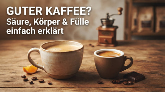 Kaffee Geschmack verstehen Säure, Körper & Fülle einfach erklärt TeeBohne Jens Thume