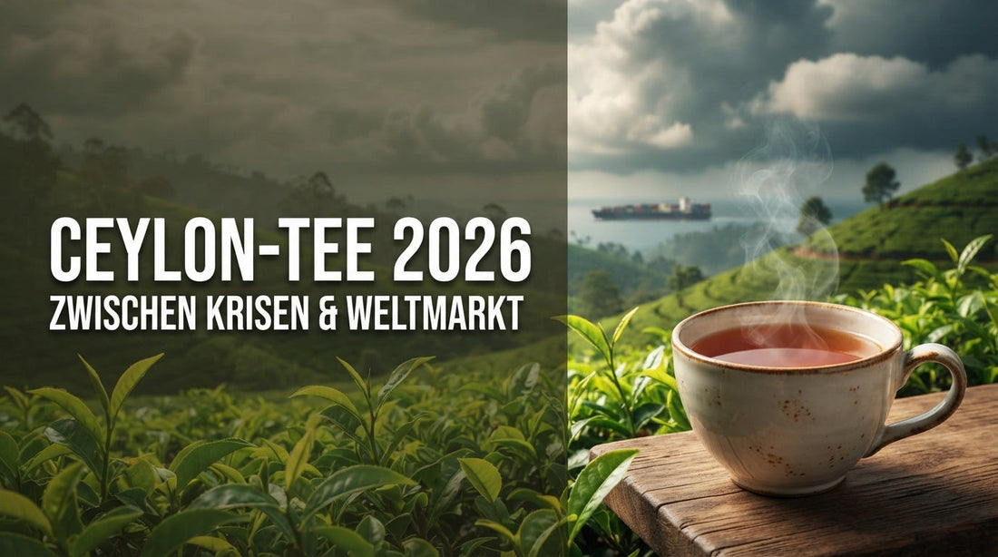 Ceylon-Tee 2026 aus Sri Lanka zwischen Klimakrise, Handelswegen und Weltmarkt