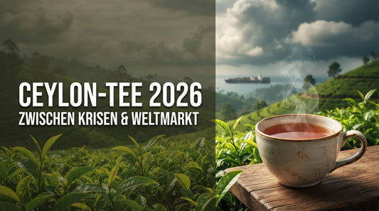 Ceylon-Tee 2026 aus Sri Lanka zwischen Klimakrise, Handelswegen und Weltmarkt