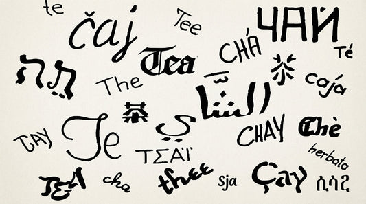 Wortwolke zur Geschichte des Wortes Tee: Internationale Bezeichnungen wie Tea, ЧАЙ, čaj, çay und 茶 auf cremefarbenem Hintergrund