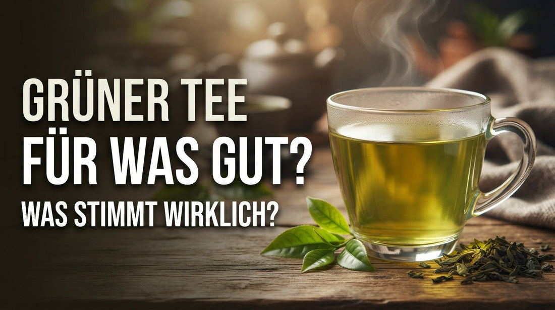 Grüner Tee in einer Tasse mit Teeblättern – Inhaltsstoffe und mögliche Wirkungen im Überblick
