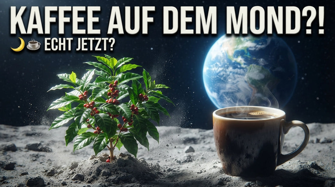 Kaffeepflanze mit Kaffeetasse auf der Mondoberfläche – humorvolle Darstellung zum Thema Kaffee auf dem Mond