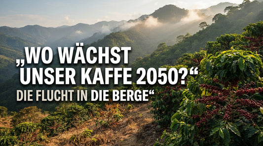 Kaffeeplantage am Berg im Klimawandel mit heißen tieferen und grünen höheren Anbauflächen