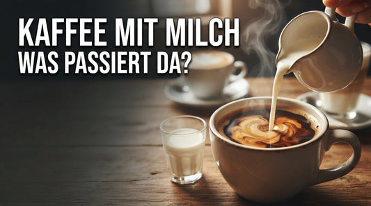 Kaffee mit Milch in einer Tasse – cremiger Kaffeegenuss und beliebte Kaffeevarianten