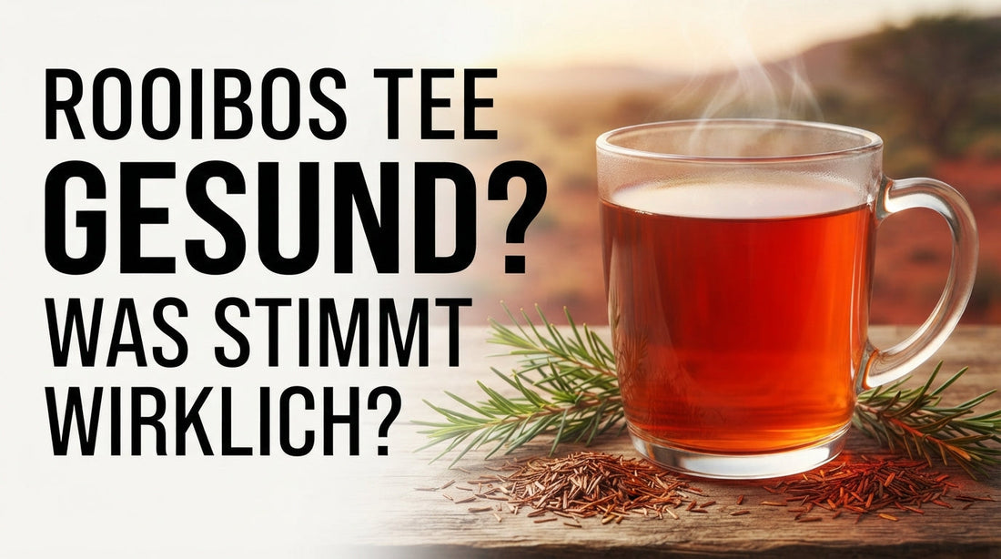 Rooibos Tee in einer Glastasse mit Rooibos-Zweigen – Gesundheitswirkung und wissenschaftliche Fakten