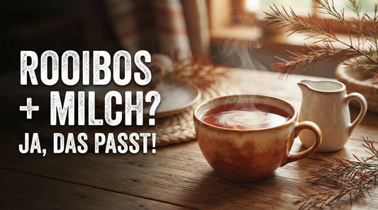 Rooibos Tee mit Milch in einer Tasse neben einem Milchkännchen – cremiger Rooibos und die Frage, ob beides zusammenpasst