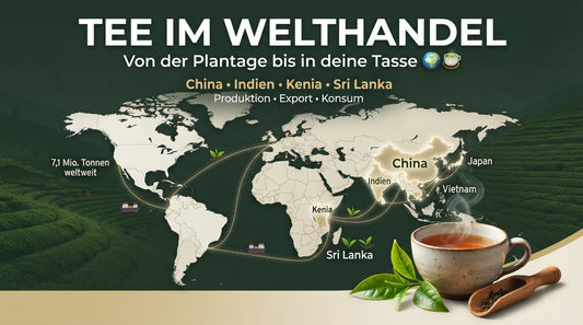 Tee im Welthandel mit einer Weltkarte, wichtigen Anbaugebieten wie China und Indien, Handelsrouten sowie einer dampfenden Teetasse im Vordergrund TeeBohne