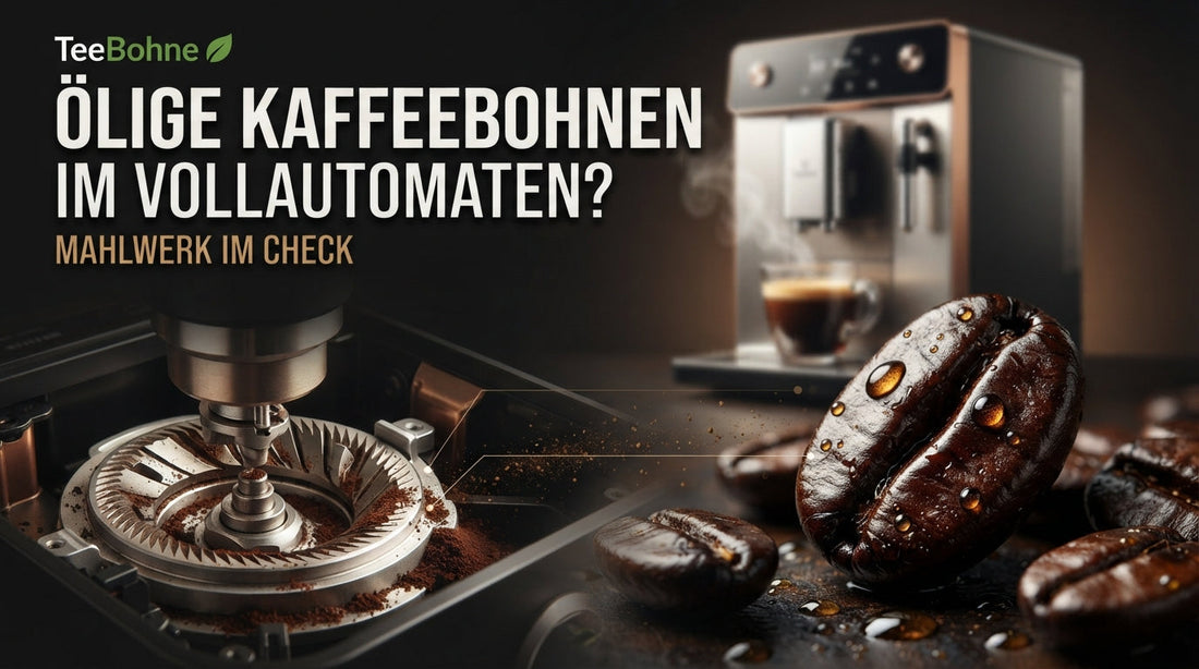 TeeBohne Artikel-Thumbnail: Ölige Kaffeebohnen im Kaffeevollautomaten und was im Mahlwerk passiert – im hochwertigen Editorial-Design