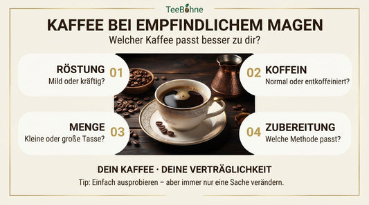TeeBohne Wissensinfografik: Kaffee bei empfindlichem Magen – Faktoren wie Röstung, Koffein, Menge und Zubereitung für den individuellen Genuss im modernen Magazin-Stil