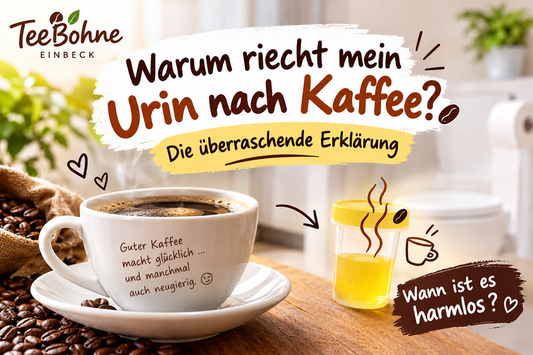 Warum riecht der Urin nach Kaffee? Die überraschende Erklärung und wann der Geruch harmlos ist.