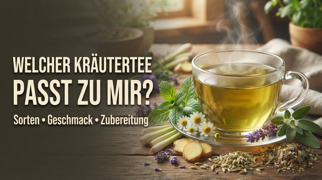 TeeBohne Einbeck: Käutertee auf Holztisch, umgeben von frischer Minze, Kamille, Ingwer, Lavendel und Salbei. Schriftzug ‚WELCHER KRÄUTERTEE PASST ZU MIR? Sorten • Geschmack • Zubereitung
