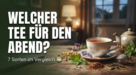 TeeBohne Blog-Thumbnail mit dem Titel ‚Welcher Tee für den Abend? – 7 Sorten im Vergleich‘. Die Grafik zeigt eine gemütliche, dampfende Teetasse mit Kamille, Melisse und Lavendel auf einem Holztisch vor einer warmen Wohnzimmer-Abendatmosphäre
