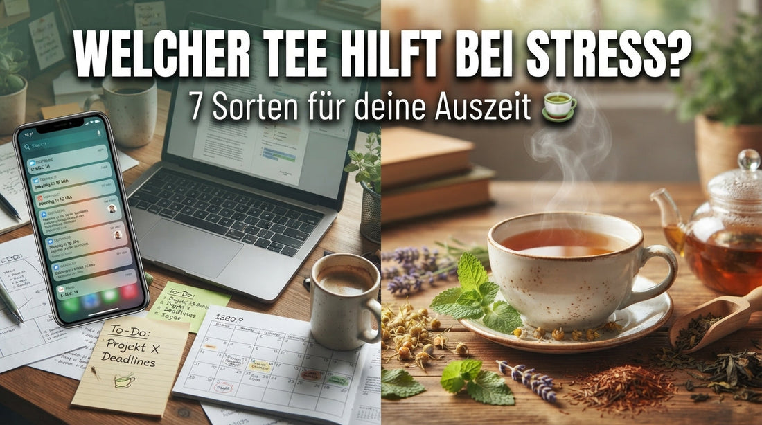 Tee-Ratgeber mit dem Titel ‚Welcher Tee hilft bei Stress?‘. Die linke Seite zeigt einen hektischen Schreibtisch mit Laptop und Smartphone, die rechte Seite eine ruhige Teetasse mit Kräutern und dampfendem Tee