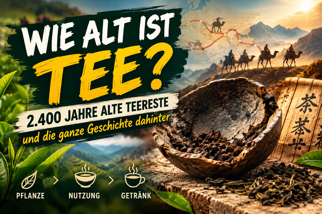 Wie alt ist Tee? 2.400 Jahre alte Teereste und die Geschichte des Tees