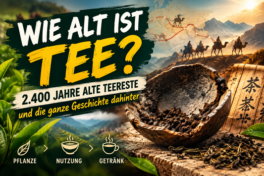 Wie alt ist Tee? 2.400 Jahre alte Teereste und die Geschichte des Tees