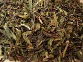 Grüner Tee Goldener Garten, Teemischung Sencha und Darjeeling
