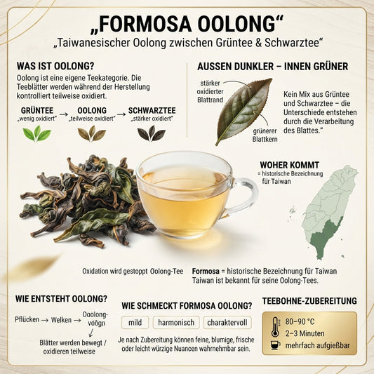 Formosa Oolong aus Taiwan erklärt – Infografik zu Teiloxidation, Teeblatt und Unterschied zwischen Grüntee und Schwarztee