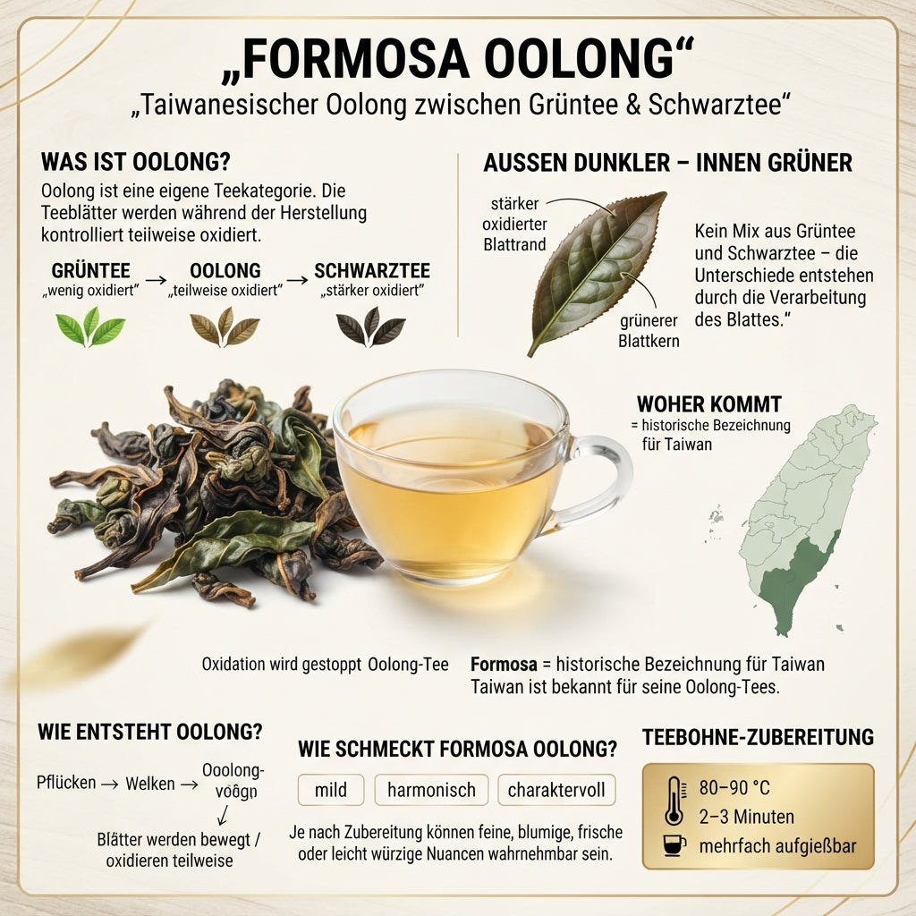 Formosa Oolong aus Taiwan erklärt – Infografik zu Teiloxidation, Teeblatt und Unterschied zwischen Grüntee und Schwarztee