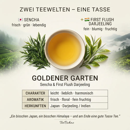 Infografik für die Teemischung ‚Goldener Garten‘ von TeeBohne: Darstellung der zwei Teewelten Japan (Sencha) und Indien (First Flush Darjeeling) vereint in einer Tasse mit Angaben zu Charakter und Herkunft
