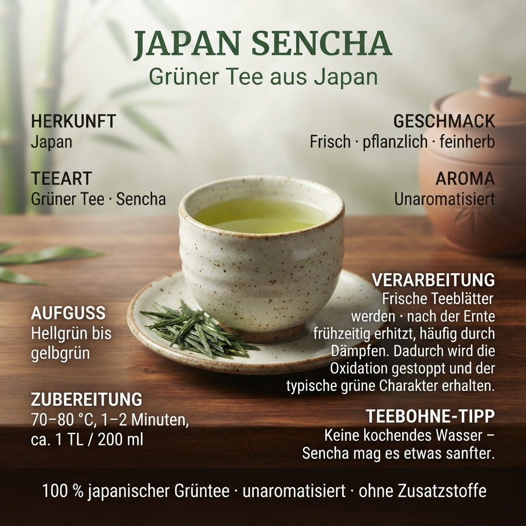 Professionelle Premium-Infografik von TeeBohne zum Thema Japan Sencha. Die Grafik zeigt mittig eine Teeschale mit Sencha-Aufguss sowie lose Teeblätter und informiert über die traditionelle Dämpfung, die Zubereitung bei 70–80 °C sowie das frische, pflanzliche Geschmacksprofil.
