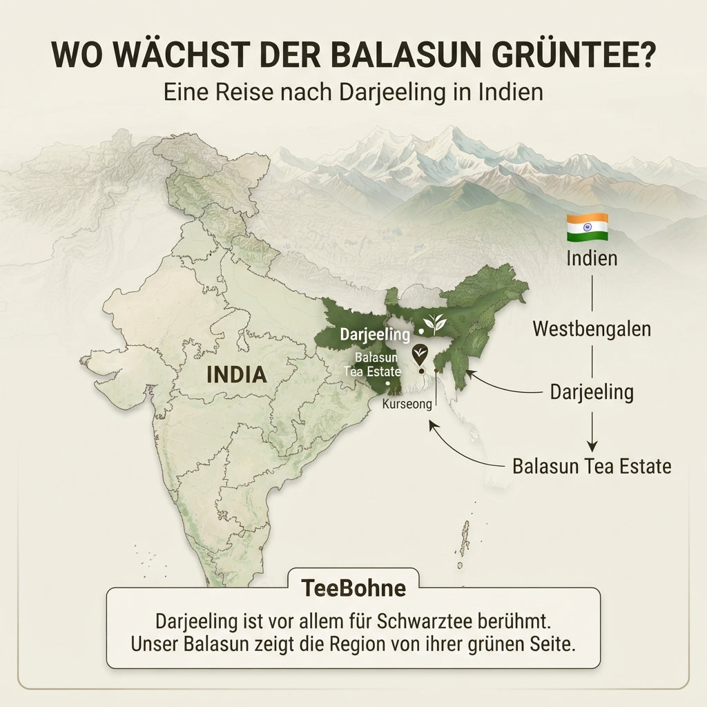 Wissensinfografik von TeeBohne Einbeck zur geografischen Herkunft des Balasun-Grüntees: Eine Karte Indiens mit Fokus auf die Region Darjeeling in Westbengalen, die die Lage des Balasun Tea Estate hervorhebt und durch eine visuelle Zoom-Struktur den Weg vom Land bis zur spezifischen Plantage zeigt.