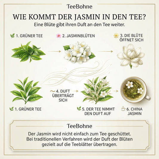 Wissensinfografik von TeeBohne Einbeck zur traditionellen Herstellung von China Jasmin: Darstellung des Prozesses, bei dem das Aroma frischer Jasminblüten durch einen natürlichen Prozess gezielt auf grüne Teeblätter übertragen wird.