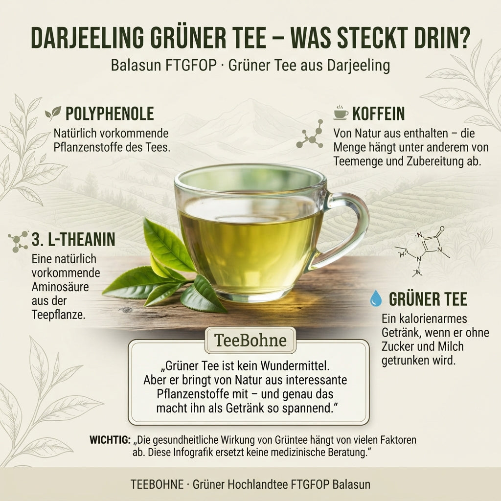 Wissensinfografik von TeeBohne Einbeck über die Inhaltsstoffe von Darjeeling-Grüntee: Die Infografik erläutert die natürlichen Bestandteile wie Polyphenole, Koffein und L-Theanin Wirkung sowie den Aspekt der Kalorienarmut, eingebettet in ein hochwertiges, modernes Design mit einem Glas Tee im Zentrum und Hinweisen zur verantwortungsbewussten Einordnung.