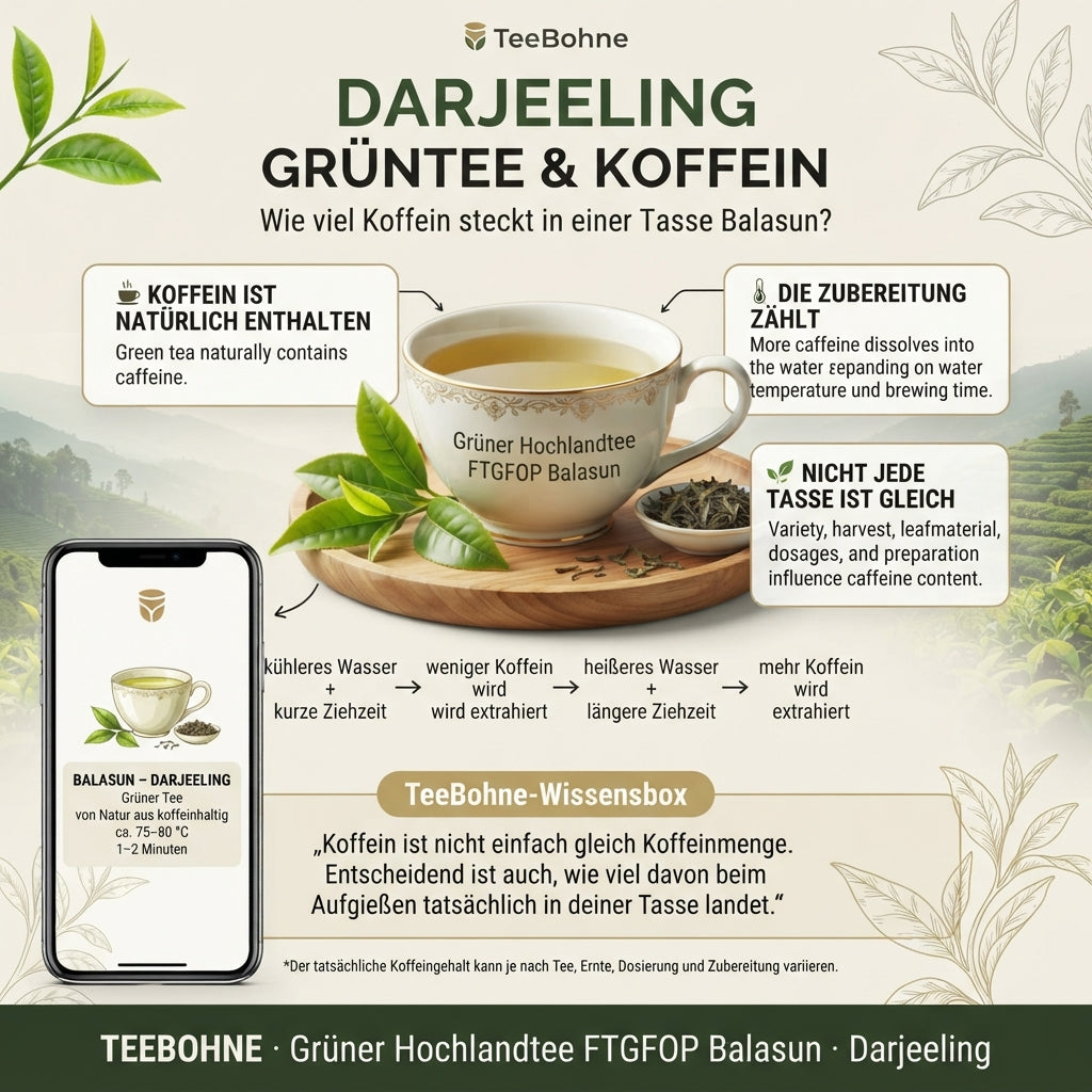 Wissensinfografik von TeeBohne Einbeck über den natürlichen Koffeingehalt in grünem Darjeeling-Tee: Erläuterung der Einflüsse von Wassertemperatur und Ziehzeit auf die Koffeinextraktion, dargestellt durch eine visuelle Skala, ergänzt um wichtige Hinweise zur natürlichen Variation des Gehalts bei hochwertigem Blatttee.