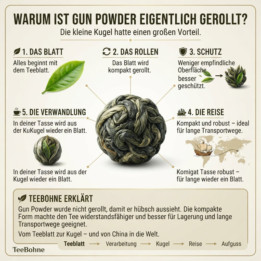 Wissensinfografik von TeeBohne Einbeck über den Ursprung der Kugelform von China Gun Powder: Eine übersichtliche Darstellung vom frischen Teeblatt über den Rollprozess, den Schutz und die historische Transportreise bis hin zum erneuten Entfalten im heißen Aufguss.