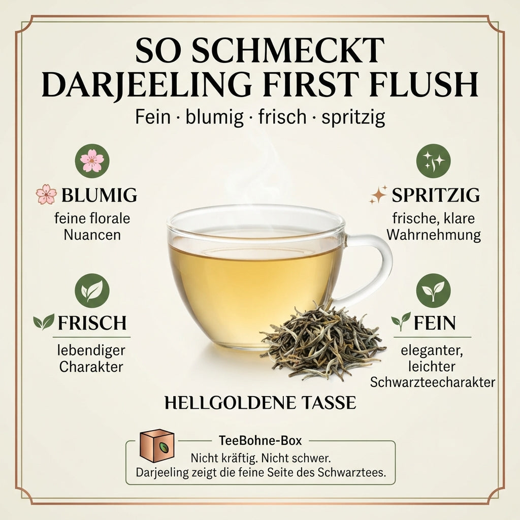 Geschmacksprofil-Infografik von TeeBohne: "SO SCHMECKT DARJEELING FIRST FLUSH – Fein · blumig · frisch · spritzig". Die Grafik zeigt eine elegante Tasse mit hellgoldenem Aufguss und hochwertige Teeblätter im Zentrum, umgeben von den vier Geschmacksmerkmalen "Blumig", "Frisch", "Spritzig" und "Fein". Eine "TeeBohne-Box" fasst kurz und prägnant zusammen, dass Darjeeling für die feine, leichte Seite des Schwarztees steht. Das Design ist in edlem Creme, Naturgrün, Gold und Kupfer gestaltet.