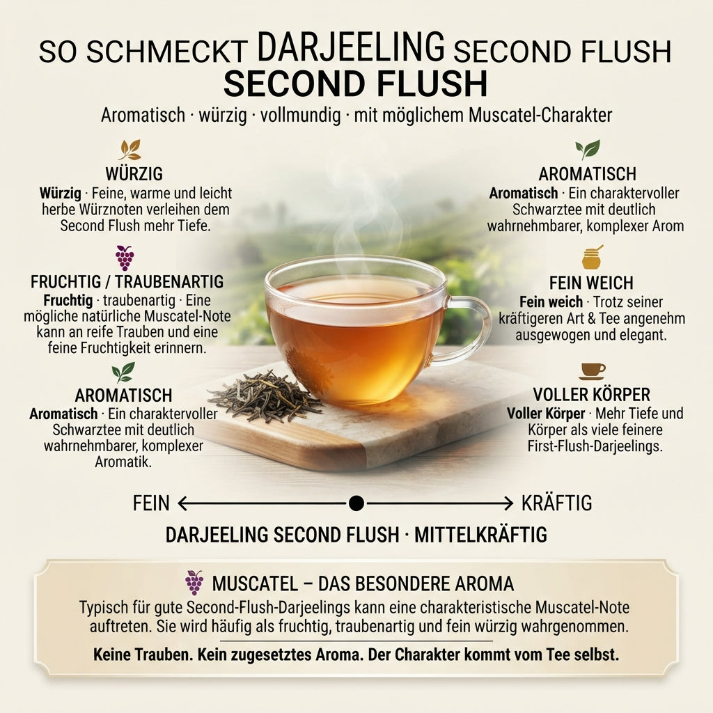 Wissensinfografik von TeeBohne: "SO SCHMECKT DARJEELING SECOND FLUSH". Die Grafik visualisiert das komplexe Geschmacksprofil eines hochwertigen Darjeeling Second Flush mit fünf Geschmacksbereichen (würzig, fruchtig/traubenartig, aromatisch, fein weich, voller Körper). Eine zentrale Teetasse und eine Geschmacksskala von "fein" bis "kräftig" ordnen den Tee als mittelkräftig ein. Eine Infobox zum "Muscatel"-Aroma klärt auf, dass dieser besondere Charakter eine rein natürliche Eigenschaft des Tees ist, ohne Zus