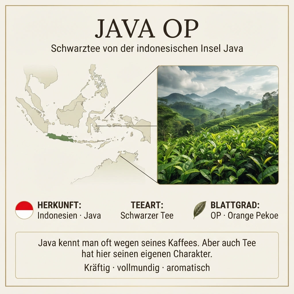 `Herkunftsinfografik von TeeBohne für Java OP Schwarztee. Die Grafik zeigt eine stilisierte Karte Indonesiens mit hervorgehobener Insel Java sowie eine fotorealistische Szene eines tropischen Teeanbaugebiets. Informationen zur Herkunft, Teeart (Schwarztee) und Blattgrad (OP/Orange Pekoe) werden übersichtlich präsentiert, ergänzt durch einen erläuternden Text zum charaktervollen Tee von der Insel Java.