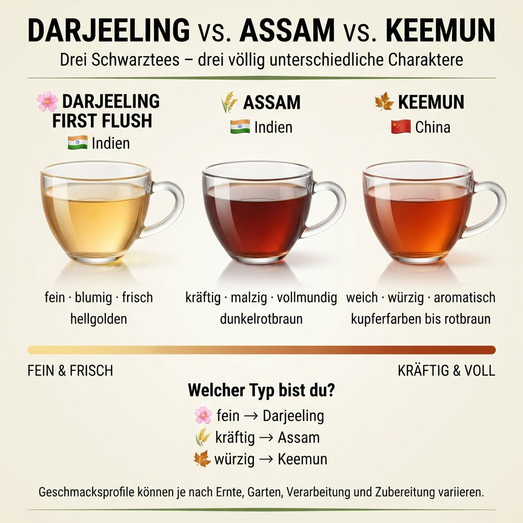 Vergleichsinfografik von TeeBohne: "DARJEELING vs. ASSAM vs. KEEMUN – Drei Schwarztees – drei völlig unterschiedliche Charaktere". Die Grafik zeigt drei transparente Tassen mit den jeweils typischen Aufgussfarben (hellgolden für Darjeeling, dunkelrotbraun für Assam, kupferfarben für Keemun) und ordnet sie auf einer Skala zwischen "fein & frisch" und "kräftig & voll" ein. Eine klare Orientierungshilfe unterstützt den Betrachter bei der Auswahl seines persönlichen Teetyps. Das Design ist in hochwertigem Creme