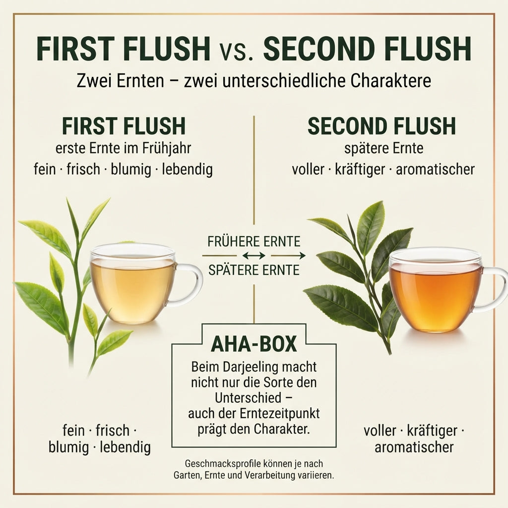 `Vergleichsinfografik von TeeBohne: "FIRST FLUSH vs. SECOND FLUSH – Zwei Ernten – zwei unterschiedliche Charaktere". Die Grafik stellt links den First Flush mit jungen, hellgrünen Teetrieben und einem hellgoldenen Aufguss ("fein · frisch · blumig · lebendig") dem rechts dargestellten Second Flush mit reiferen Blättern und einem kräftigeren, kupferfarbenen Aufguss ("voller · kräftiger · aromatischer") gegenüber. Eine "AHA-BOX" im Zentrum verdeutlicht, dass der Erntezeitpunkt den Charakter eines Darjeelings m