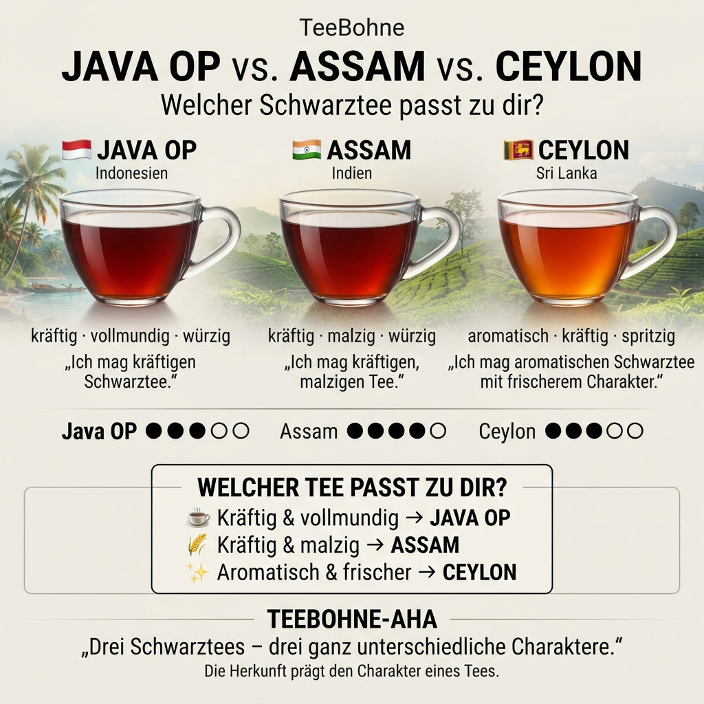 Vergleichsinfografik von TeeBohne: "JAVA OP vs. ASSAM vs. CEYLON". Das Bild zeigt drei hochwertige Teetassen mit unterschiedlichen Aufgussfarben und stellt die drei Schwarztee-Sorten hinsichtlich Geschmacksprofil, Herkunft und Charakter gegenüber. Eine Entscheidungshilfe und eine visuelle Skala zur Kräftigkeit dienen als Orientierung für Teeliebhaber, um die Unterschiede zwischen den Sorten zu verstehen.