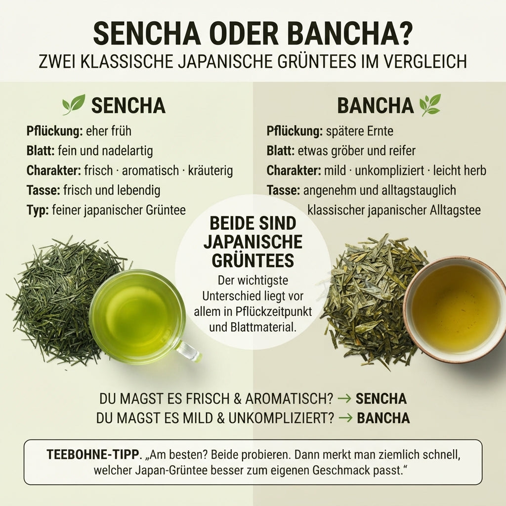 Vergleichs-Infografik von TeeBohne: Die Grafik stellt die japanischen Grüntees Sencha und Bancha gegenüber. Auf der linken Seite werden die Merkmale des Sencha (frühe Pflückung, fein, frisch) und rechts die des Bancha (spätere Ernte, gröber, mild) detailliert aufgeführt. In der Mitte wird erläutert, dass beide Sorten japanische Grüntees sind, deren Hauptunterschied in Pflückzeitpunkt und Blattmaterial liegt, ergänzt durch eine Entscheidungshilfe für den persönlichen Geschmack.