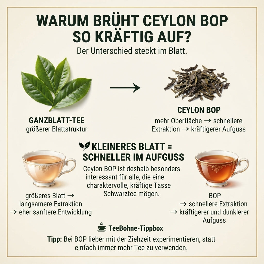 Wissensinfografik von TeeBohne: "WARUM BRÜHT CEYLON BOP SO KRÄFTIG AUF? – Der Unterschied steckt im Blatt". Die Grafik vergleicht visuell Ganzblatt-Tee mit Ceylon BOP (Broken Orange Pekoe). Sie erklärt, dass die größere Oberfläche der gebrochenen Blätter zu einer schnelleren Extraktion und einem kräftigeren, dunkleren Aufguss führt. Eine Gegenüberstellung von zwei Teetassen unterstreicht diesen Effekt, ergänzt durch eine "TeeBohne-Tippbox", die dazu anregt, die Ziehzeit statt die Teemenge zur Geschmacksanpa