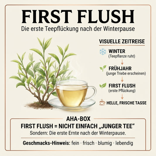 Wissensinfografik von TeeBohne: "FIRST FLUSH – Die erste Teepflückung nach der Winterpause". Die Grafik zeigt eine visuelle Zeitreise von der Winterruhe der Teepflanze über den frischen Austrieb im Frühjahr bis hin zur ersten Pflückung und der daraus resultierenden hellen, frischen Tasse Tee. Eine "AHA-BOX" erläutert präzise, dass First Flush mehr als nur "junger Tee" ist, sondern den speziellen Charakter der ersten Ernte nach der Winterpause definiert. Das Design ist in edlen Creme-, Naturgrün- und Goldtön