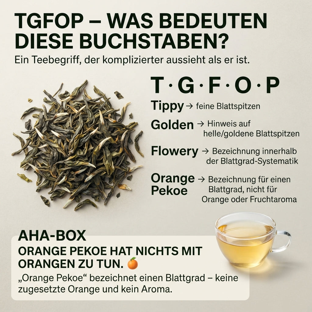 Wissensinfografik von TeeBohne: "TGFOP – WAS BEDEUTEN DIESE BUCHSTABEN?". Die Grafik schlüsselt die Teeblätter-Klassifizierung Tippy Golden Flowery Orange Pekoe detailliert auf. Sie zeigt hochwertige Teeblätter mit hellen Blattspitzen und eine Tasse mit hellem Darjeeling-Aufguss. Eine zentrale "AHA-BOX" stellt klar, dass "Orange Pekoe" einen reinen Blattgrad bezeichnet und absolut nichts mit Orangen oder Fruchtaromen zu tun hat. Das Design ist in edlem Creme, Dunkelgrün und Gold gehalten.
